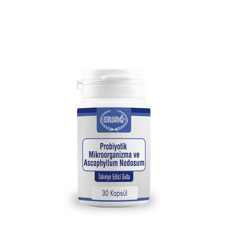 ERSAĞ PROBİYOTİK MİKROORGANİZMA VE ASCOPHYLLUM NODOSUM